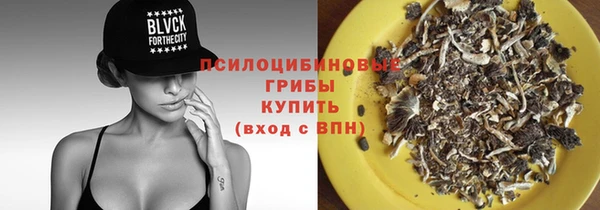 прущие грибы Алзамай