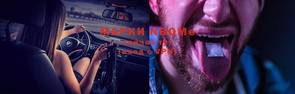прущие грибы Алзамай