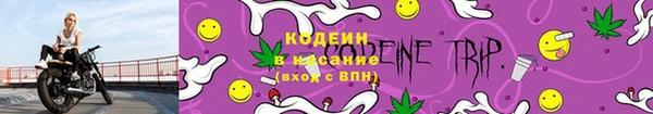 прущие грибы Алзамай